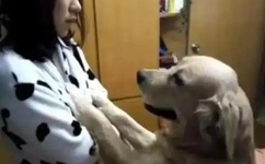 男女作爱在线播放免费网页版观看